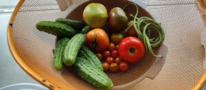 Heirloom and Cherry Tomatoes, Cukes and Foot Long String Beans, Lunch Anyone, Anyone
