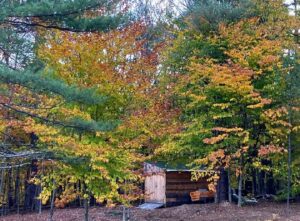 Fall Colors Sunapee, N.H.