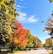 Fall Colors, Jackson, N.J.